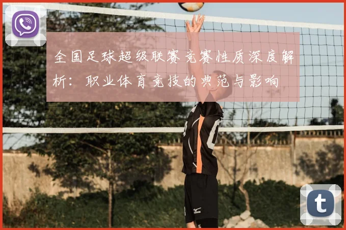 全国足球超级联赛竞赛性质深度解析:职业体育竞技的典范与影响